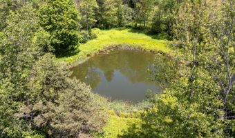 1652 Thompson Hollow Rd, Andes, NY 13731