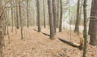 Zig Zag, Big Sandy, TN 38221