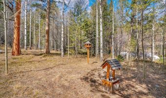 251 Haugen Slide Rd, Allenspark, CO 80510