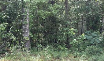 Sr 1916 & 1917, Aurora, NC 27806