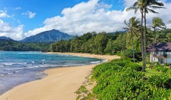 5-7130 KUHIO Hwy J3 Dec/Jan - #1, Hanalei, HI 96722