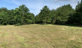 000 Mt Pleasant Ln SE, Bogue Chitto, MS 39629