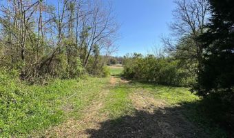 95 Terrafirma Ln, Ash Flat, AR 72513