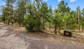Tbd CR2325, Alpine, AZ 85920