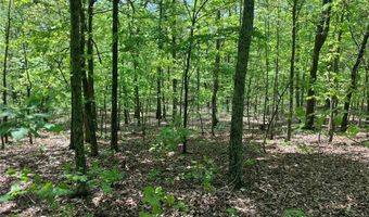 0 County Road 224, Alton, MO 65606