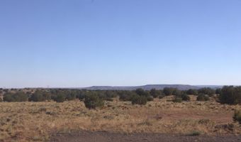 87 County Road 5311, Concho, AZ 85924