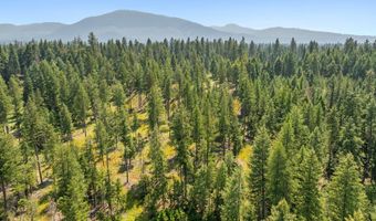 E Quarter Mile Rd, Athol, ID 83801