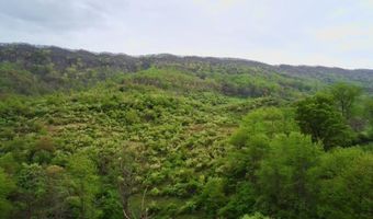Tbd Clear Fork Creek Road, Bastian, VA 24314