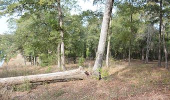 TBD Meriwether Road, Enterprise, AL 36330