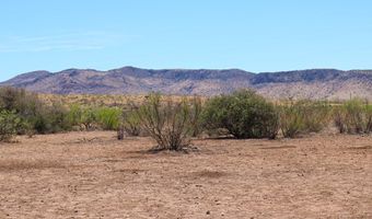 54953 State Hwy 118 S, Alpine, TX 79830