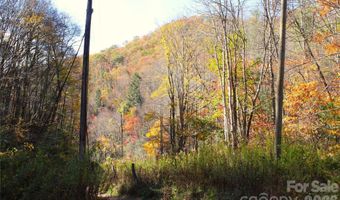 44 Toms Creek Rd, Bakersville, NC 28705