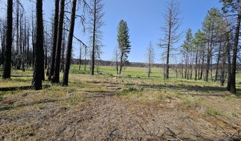 Parazoo Trail Lot 2 Block 8, Bly, OR 97622