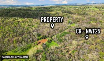 Tbd Stogdon Hollow Road, Anderson, MO 64831
