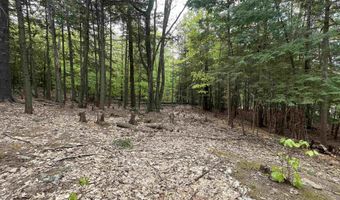 Map 212 Lot 49 Durrell Mountain Road, Belmont, NH 03220