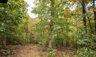 2421 Morrison Loop, Anderson, MO 64831