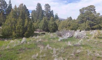 01195 Rito Hondo Rd, Antonito, CO 81120