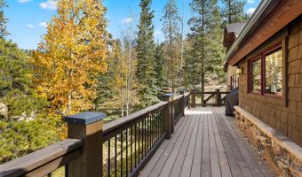 984 Gold Run Rd, Breckenridge, CO 80424