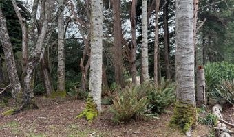 Klamath Ave SE, Bandon, OR 97411