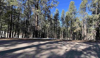 Lot 15 Champions Terrace, Angel Fire, NM 87710