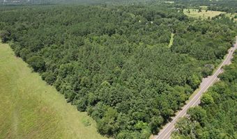 TBD State Highway 21 East, Alto, TX 75925