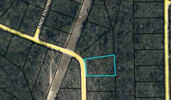 Ocala Drive, Alford, FL 32420