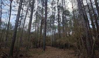 U.S. Highway 51, Bogue Chitto, MS 39629