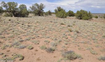 19 C & D County Rd N9033, Concho, AZ 85924