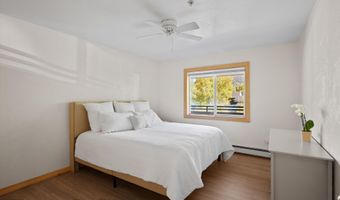 326 Midland Ave 306, Aspen, CO 81611