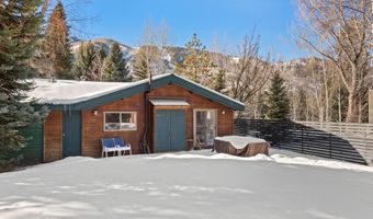 980 King St 1, Aspen, CO 81611