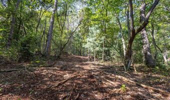 23 59 Ac Chestnut Flats Rd, Andrews, NC 28901