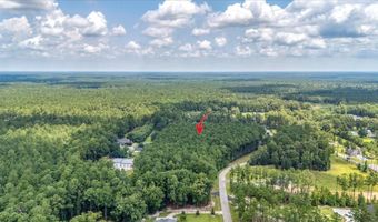 0 Angel Oak Dr, Bonneau, SC 29431