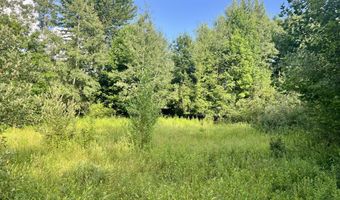 1143 38th St, Allegan, MI 49010