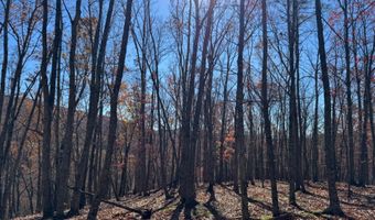 COVE CREEK Road lot 2, Baker, WV 26801