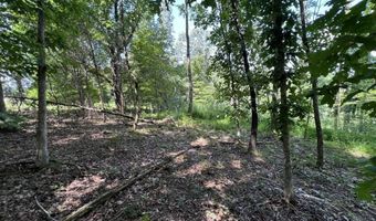 3772 E New Roe Rd, Adolphus, KY 42120