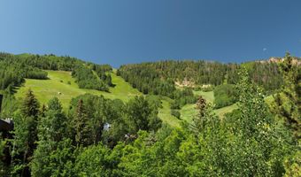 714 S Galena St B, Aspen, CO 81611