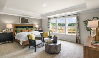 5298 Jessie Dr Plan: NORMAN, Apex, NC 27539