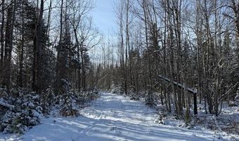 US-1 lot 10, Baring Plt, ME 04694