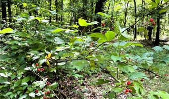 TBD Wilderness WY, Anderson, MO 64831
