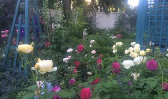 109 S Lake Ave, Albany, NY 12208