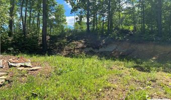 31 Catfish Dr, Big Sandy, TN 38221