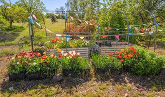 16770 Scout Ave, Anderson, CA 96007