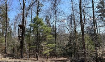 TALLMAN HOLLOW ROAD LOT #5, Montoursville, PA 17754