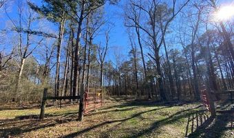 TBD Bogue Chitto Road SW, Bogue Chitto, MS 39629