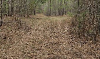 0 HWY 220 TRACT B, Lincolnton, GA 30817