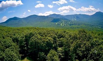 Sweeney Lane lot 49/50, Cambridge, VT 05464