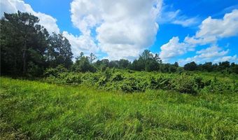 2975 W Reeves Rd, Avon Park, FL 33825