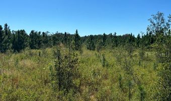 00 50th Ave, Bell, FL 32619