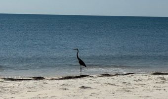 1187 Alligator Dr, Alligator Point, FL 32346