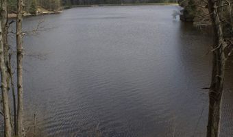 6341 Eagles Nest, Alger, MI 48610