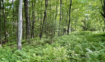 Old Farm Road, Burke, VT 05871
